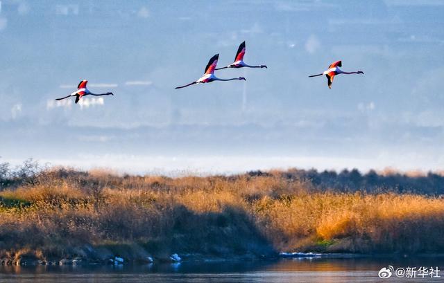 【节气里的大美中国·大雪】【绝美壁纸！#冬天里的大美中国#】