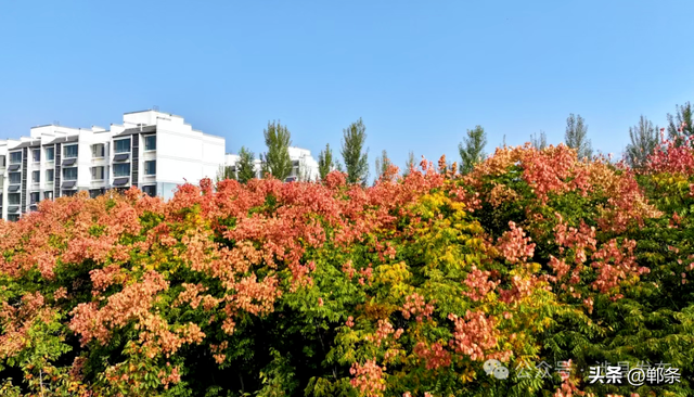 涉县：美拉德配色里，藏着橙黄橘绿的诗意