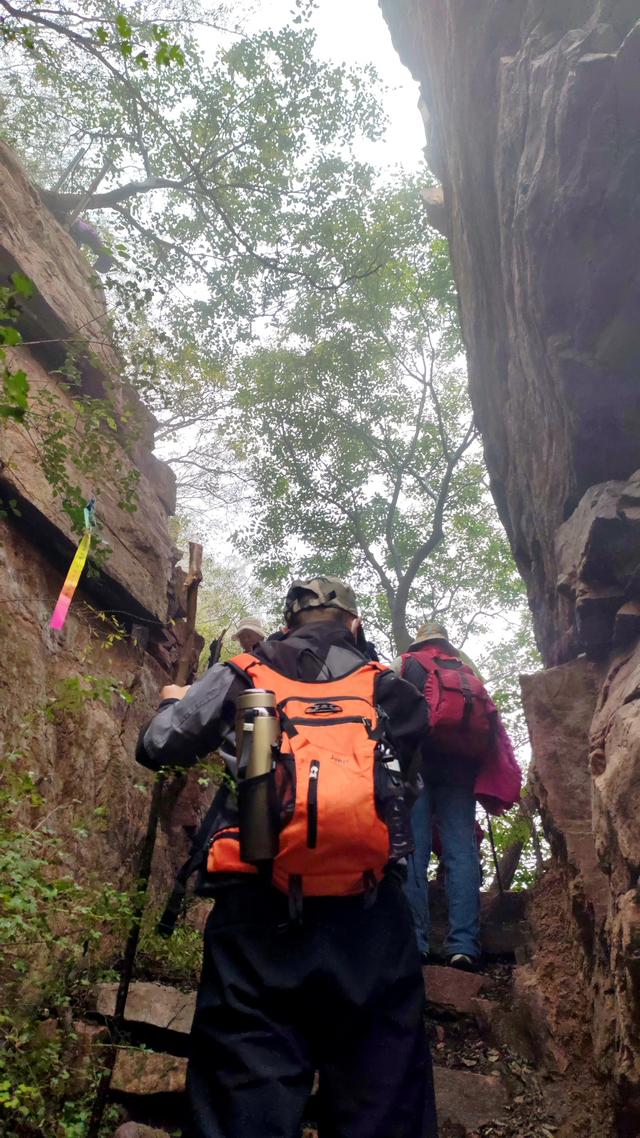 雾锁风挡山，红叶引客来