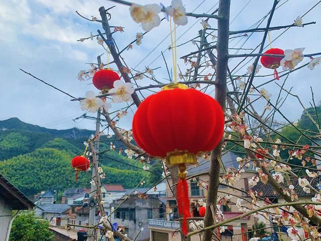 “上午立春，春节暖；下午立春，二月寒	”	，2026年立春是在几点？