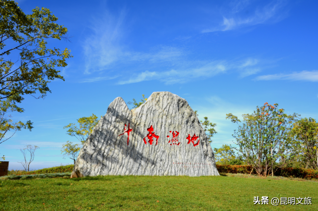 2025最新观鸥地图：这些地方“鸥”气值MAX，拍照直接封神！