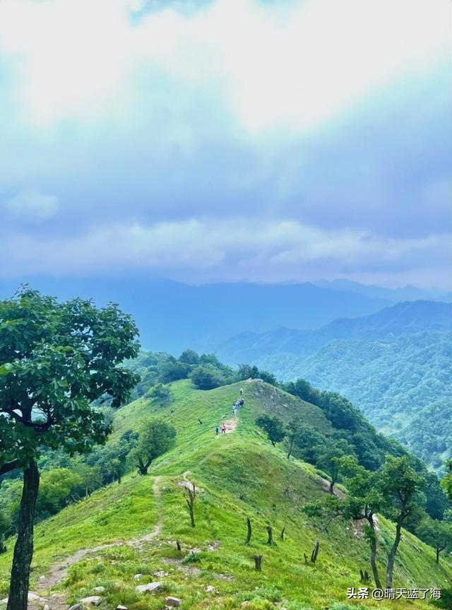 秦岭其他山头去不了，华阳草甸可以啊，一起去陕西版的阿勒泰吧！