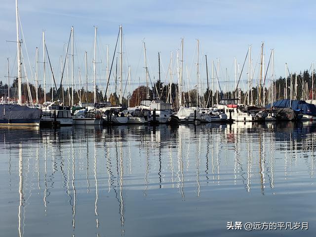 温哥华游记（四）