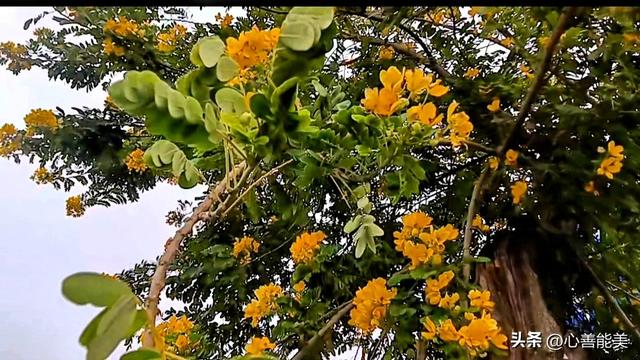 我这么爱你，你也爱我吗