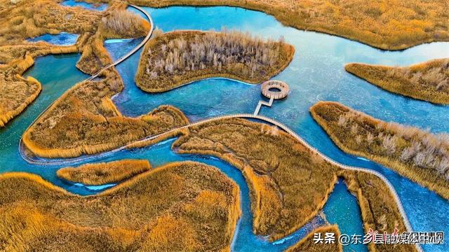 好美！张掖黑河湿地冬日披金景色如画
