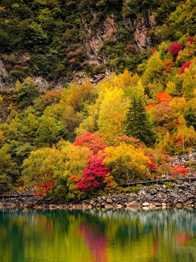 松坪沟彩林已“封神”！泡暖泉、赏非遗打铁花，这波三重盛宴错过等一年！