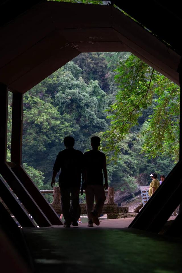 全域好水 亲水纳凉 | 热浪围城？武夷山“清凉刺客”申请出战
