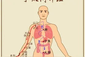 疏通这些易堵穴位，身体轻松一整年！（干货收藏贴）图片