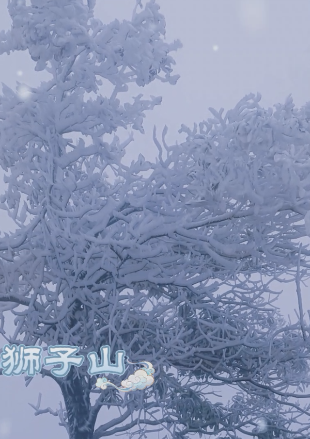 朋友圈C位预告！韶关雾凇限时上线，这片赏冰秘境地图等你来打卡