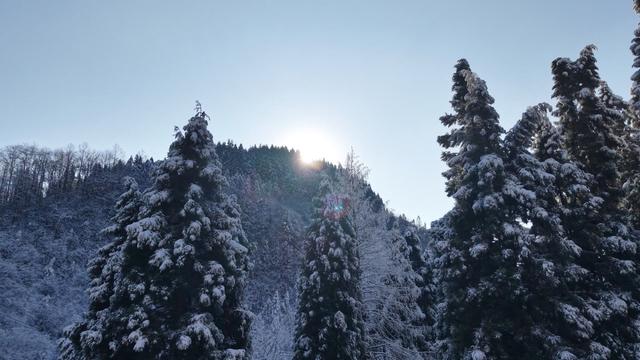 湖北恩施：雪后初霁 鄂西林海换银装