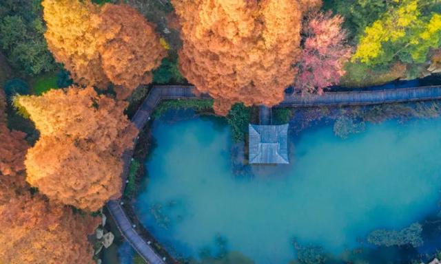 40条!浙江省名山公园精品线路发布