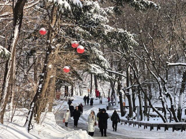 雪落千山披银装 八方游客赏胜景
