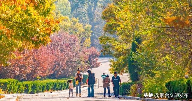 【乐游烟台】正式宣布！下一轮降温前，烟台人该……