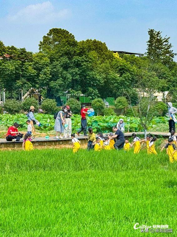 武汉蔡甸新增国家3A级旅游景区
