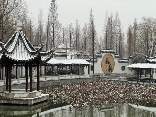 【雪漫汤头 温泉入梦】 汤头温泉旅游度假区“清冷与温润”的冬日美景皆在这里