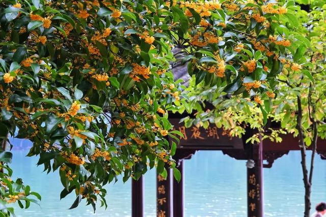 向全萧山人道歉！“上班”迟到了！