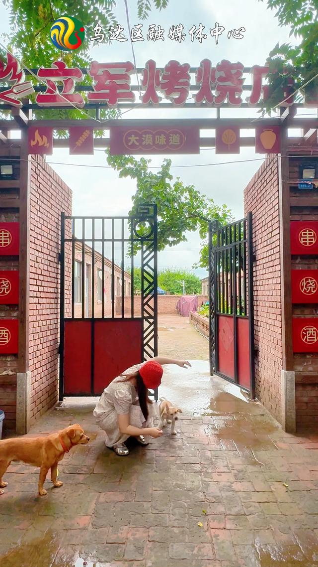 初秋≠凉快！乌达“宝藏纳凉地”出圈又出片