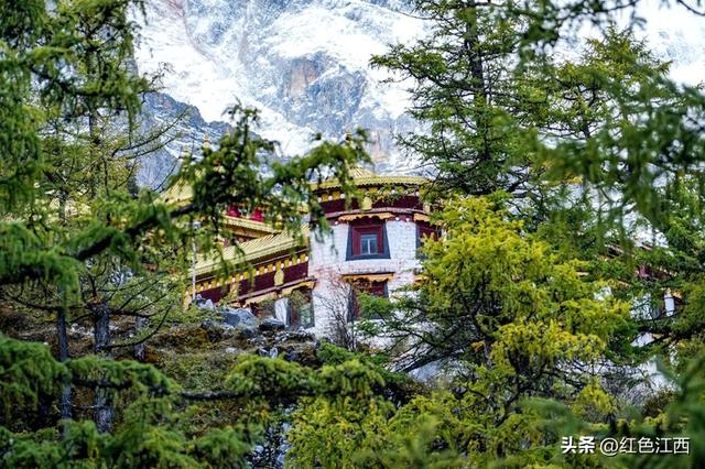 在稻城亚丁，我把灵魂落在了秋日草甸上