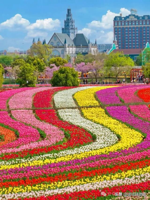 10月第5期(5天)点评