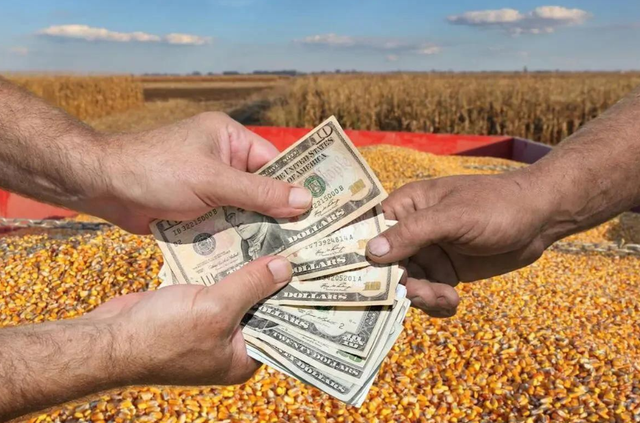 美国上半年货物贸易出口额7805亿美元	，再看中国，差距不是一般大