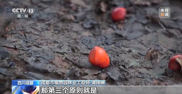 “捡秋”有风险 “尝鲜”需谨慎！牢记这些可避隐患