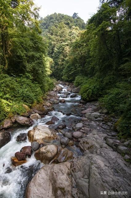 从河南来到乐山，发现被低估的避暑秘境，23℃的夏天风都带着凉意