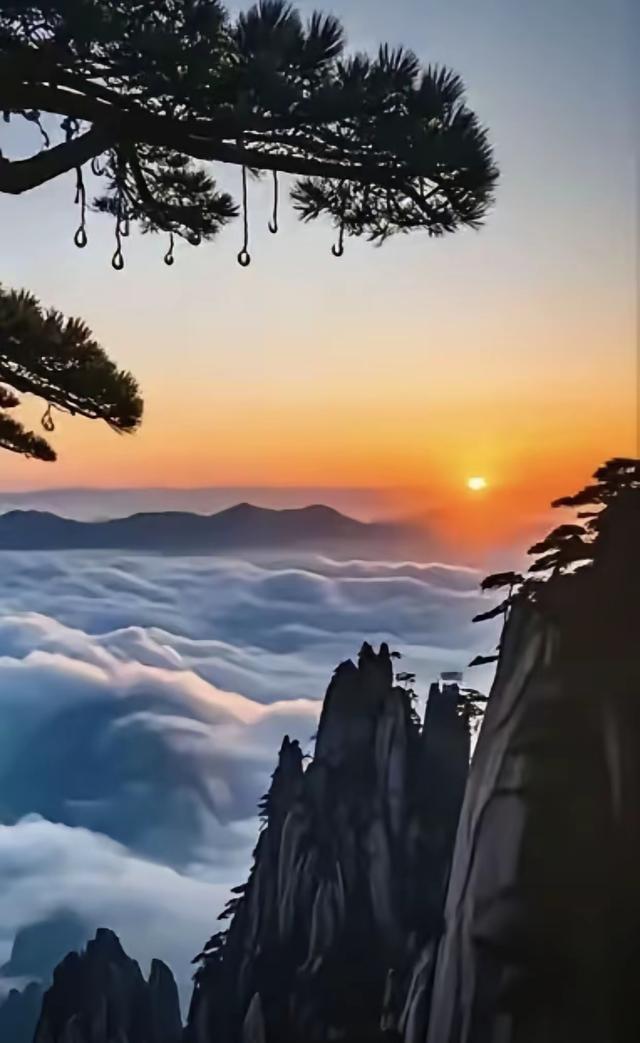 仙鹤，云霞与日落，交融成自然的交响
