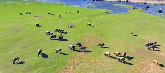 棋子湾必去景点全攻略：解锁海南西海岸的秘境之旅！