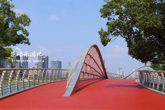 浙江宁波的新公园，马鞭草花不开的时候也很美，烟紫网红桥很出圈