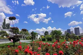 “20分钟公园效应”有用吗？快到包头这些公园寻找答案→图片