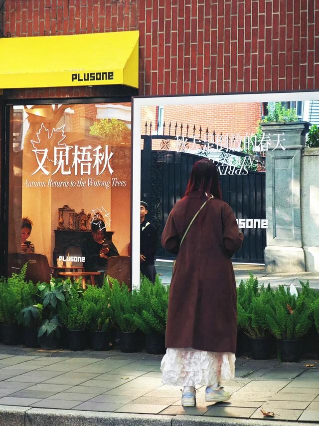 被徐汇秋天“落叶画”硬控！这就出门捡叶子去