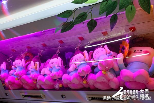 玫瑰音乐巴士启航：穿越古城的浪漫之旅