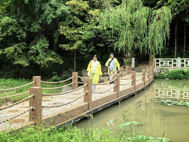 西狭秋韵：石刻无言，却与幽风诉千年