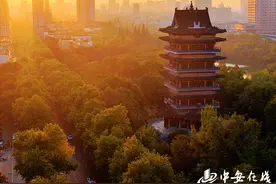 入目皆景！50张美图带你打卡合肥的秋天图片