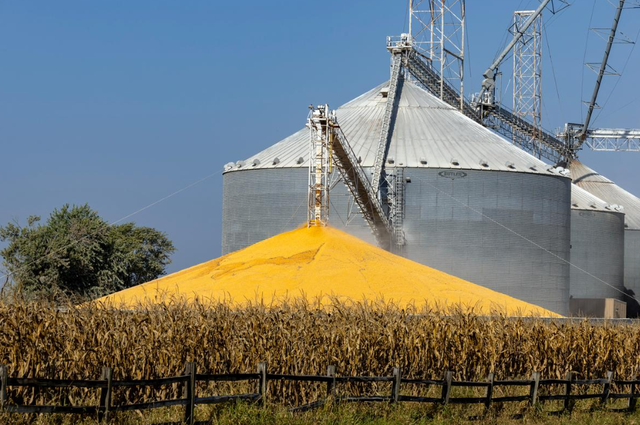 3天狂买160万吨，美国大豆比巴西大豆每吨贵600元，中国的考量精明吗？