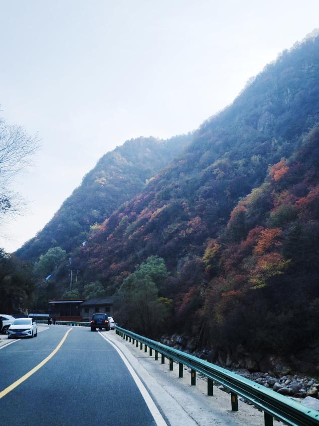 南行漫记：从卢氏走陕西S101红叶大道到南五台服务区露营