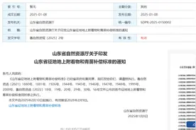 山东发布16地市最新征地地上附着物和青苗补偿标准图片