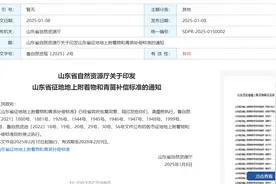 山东发布16地市最新征地地上附着物和青苗补偿标准图片