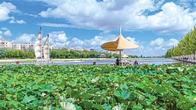 敦煌：雨后党河风情线绿意葱茏