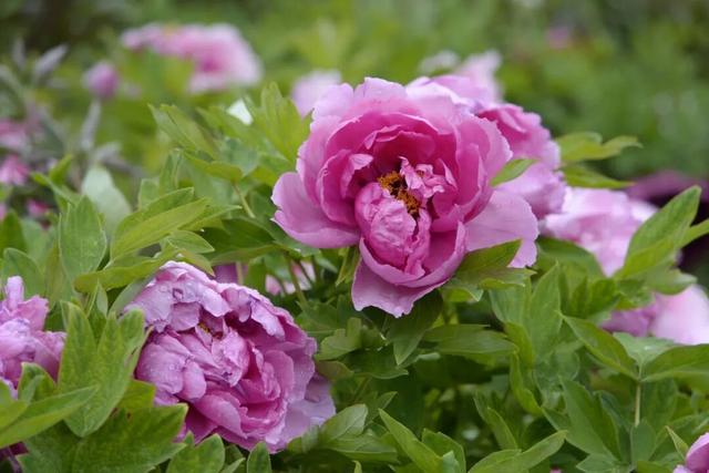 武都，“热”力全开🥰🥰