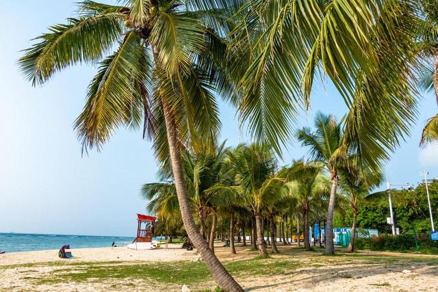 去了一趟海口和三亚，实话实说：海口和三亚的差异确实挺大的！