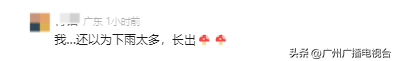 广州地铁天花板长“蘑菇”了？是“救命恩菇”！