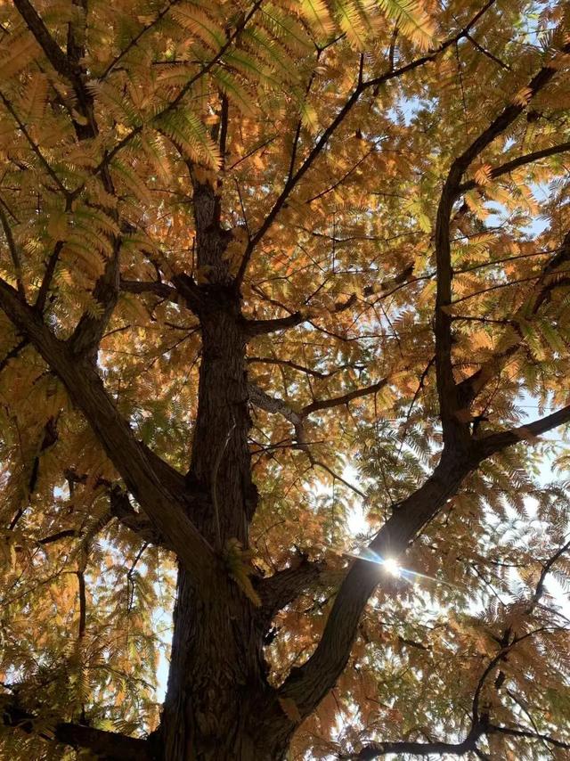 去公园，寻找城市的“书签”