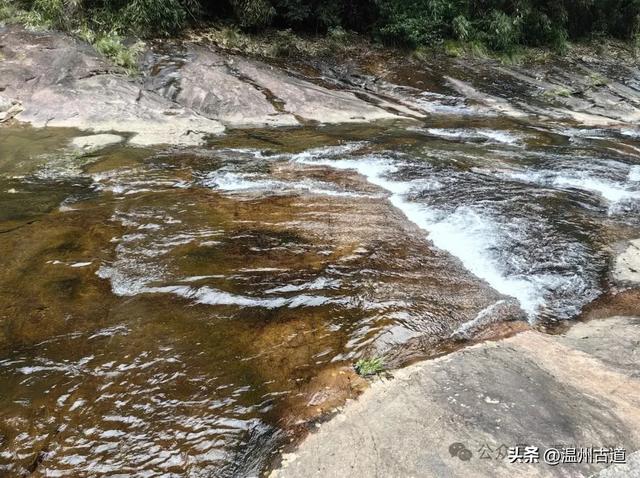 温州这个以畲族始祖命名的4A级景区，秘藏着一座“生物王国”！