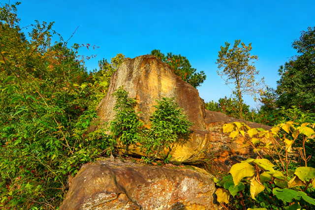 除了“YYDS”，我们还可以这样夸仁寿