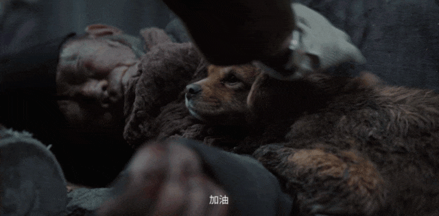 《南京照相馆》为何能在暑期档突围