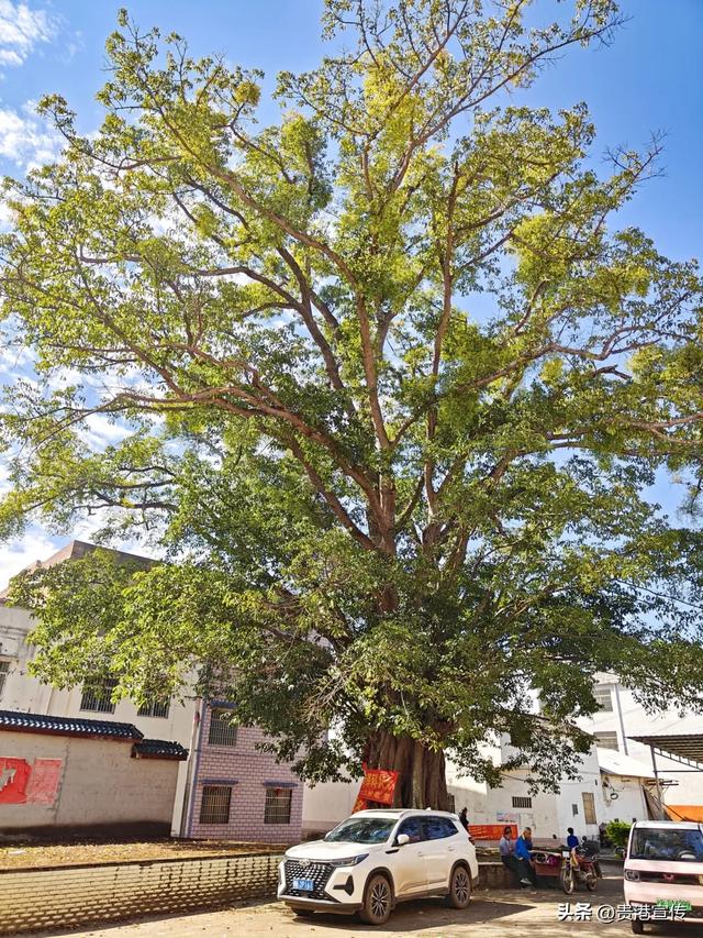 如果想暂别喧嚣,贵港周边这个地方很适合