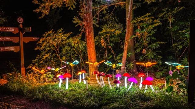 文旅融合新篇章！龙虎山“丹霞新境・夜遇龙虎”新品发布，首批精品民宿正式授牌！
