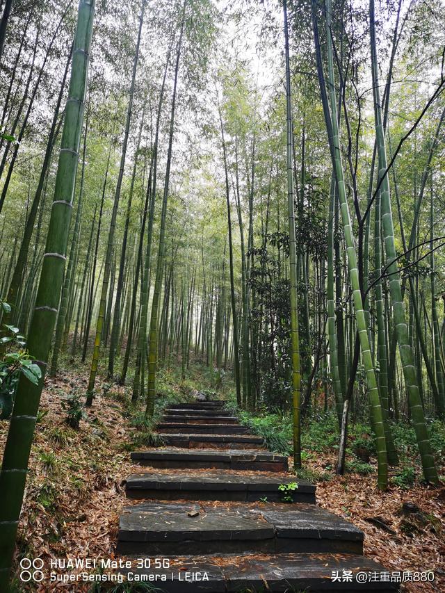 江苏是我的福地，更是我自驾游的圣地所到之处有宾至如归之感