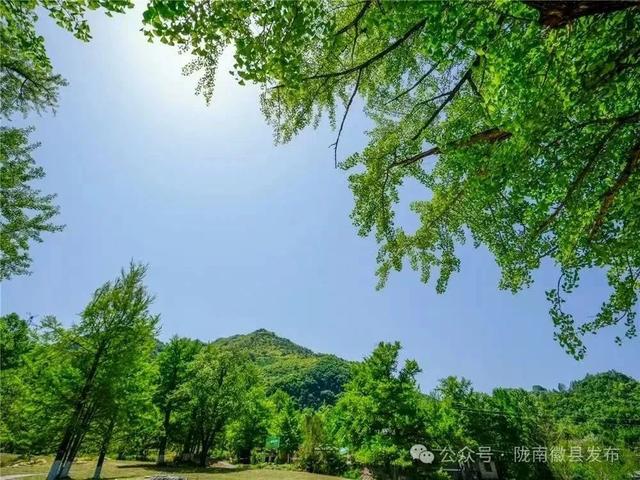 嘉陵江畔 诗意山水